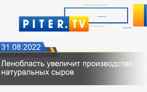 Ленобласть увеличит производство натуральных сыров