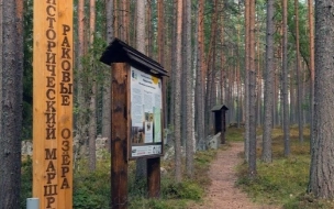 В заказнике "Раковые озёра" Выборгского района Ленобласти пройдёт бесплатная экскурсия