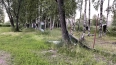 Часть Муринского парка в Петербурге перевели из зоны ...