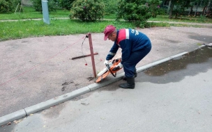 Шлагбаумы в Петербурге начнут устанавливать по системе "Безопасный город"