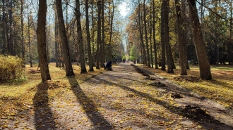 В Петербурге установится теплая и спокойная погода