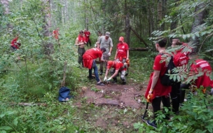 С начала полевого сезона петербургские поисковики нашли десятки останков бойцов Красной Армии 
