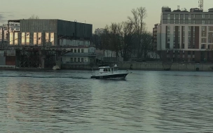 Из ледяной воды в Приморском районе спасли собаку