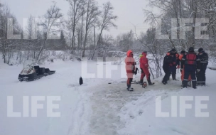 В Ленобласти нашли тело утонувшей на Крещение в реке Оредеж