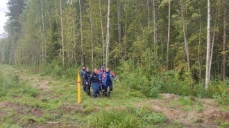 Женщину с признаками переохлаждения нашли в лесу около поселка Дубровка