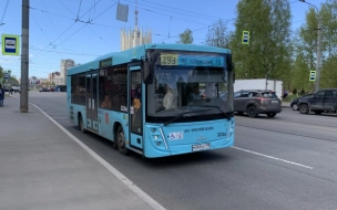 Ряд маршрутов общественного транспорта меняется в Петербурге с 1 ноября