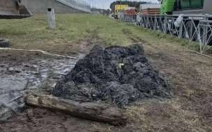 Жильцы дома на Суздальском шоссе отрицают свою причастность к засорам канализации