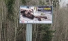 На трассах Ленобласти установили баннеры с социальной рекламой и бездомных животных