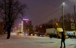 В МЧС предупредили петербуржцев об усилении ветра в ближайшие дни