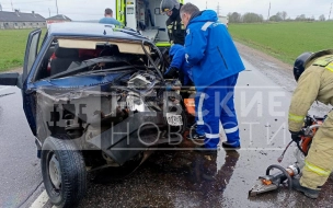 В Ленобласти в лобовом ДТП девушку заблокировало в машине