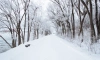 Незначительное потепление придёт в Ленобласть 9 января 