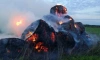 В Гатчинском округе сгорели 28 кип сена