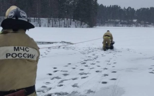 В поселке Будогощь спасли провалившегося под лед мужчину