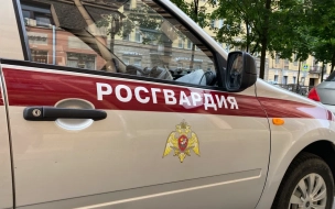 Петербургские росгвардейцы задержали вора в Адмиралтейском районе