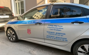 Ушлый горожанин угнал элитное такси с улицы Одоевского