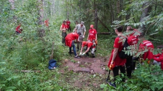 С начала полевого сезона петербургские поисковики нашли десятки останков бойцов Красной Армии 