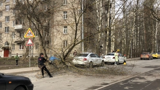 "Желтый" уровень опасности будет действовать в Петербурге 11 и 12 декабря