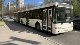 Бесплатный проезд для льготников в пригородных автобусах одобрили в Петербурге 