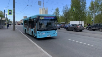 Петербуржцы призвали Смольный вернуть "маршрутки" из-за бесконечных проблем с бирюзовыми автобусами