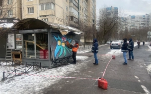 За неделю сотрудники ККИ снесли почти 30 объектов незаконной торговли в Петербурге