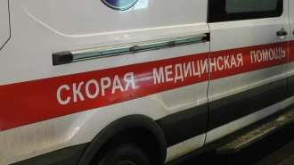 В Пушкине иномарка сбила 70-летнюю женщину с собакой