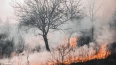 "Оборонлес" тушит природный пожар возле военного полигон...