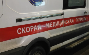На Пулковском шоссе грузовик сбил насмерть владельца сломанной легковушки