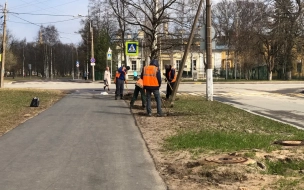 Общегородской субботник в Петербурге не будут переносить