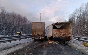 На трассе М-11 в Ленобласти столкнулись два грузовика