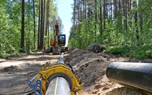 Еще к двум населенным пунктам Всеволожского района подведен природный газ