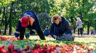 Почти 6 млн цветов высадят этой весной в Петербурге