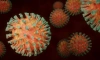 Эпидемиолог не исключил появления более заразных мутаций коронавируса 