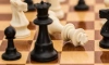 Партию "живых шахмат" разыграют на Дворцовой площади 20 июля