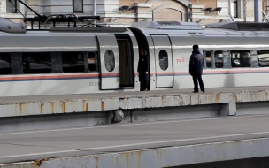 У "Сапсанов" из Петербурга в Москву появится остановка в Крюково