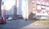 Полиция проверяет мать ребёнка, оказавшегося на проезжей части в Кудрово