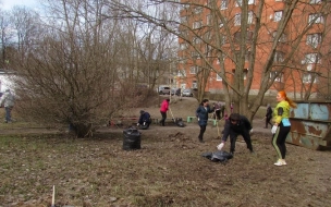 В Выборге три тысячи человек убрали сотни кубов мусора