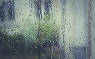 В Петербурге начало рабочей недели начнётся с дождей