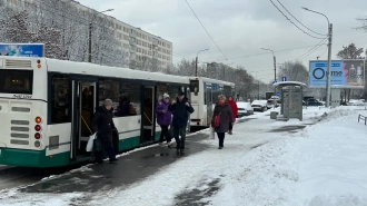 В Петербурге водитель вел автобус и смотрел видео. Его уволят