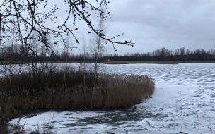 В Петербурге потеплеет к празднику Крещения