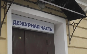 В Петербурге пьяный отец за ноги свесил сына-инвалида из окна 10 этажа