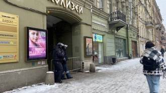 В Петербурге не смогли определиться, в чьей компетенции было перекрытие движения в центре города