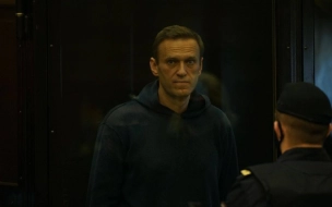 Родственники ветерана Артеменко недовольны приговором Навальному