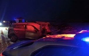 В лобовом ДТП на дороге М10-Никольское 41К-173 погиб пассажир