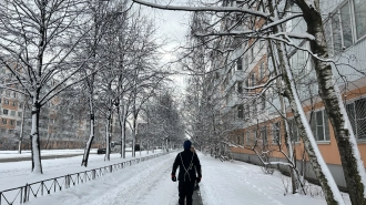 В Петербурге 24 февраля температура превысит нулевую отметк