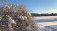 В Ленобласти 26 января будет морозно и облачно