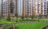 За 11 месяцев в Петербурге ввели более 3 млн "квадратов" жилья