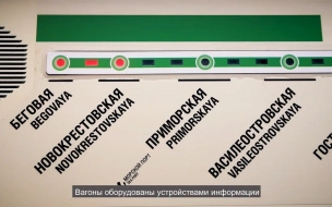 Станцию "Приморская" закрыли на вход из-за остановки эскалатора