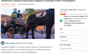 Петербуржец предложил запретить кареты в центре города