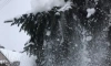 В Ленобласти 7 декабря ожидается снег и гололедица
