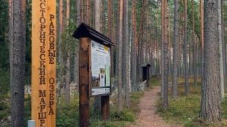 В заказнике "Раковые озёра" Выборгского района Ленобласти пройдёт бесплатная экскурсия